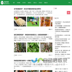养花技巧-如何养花_家庭养花_花语天地