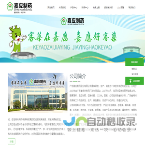 广东嘉应制药股份有限公司